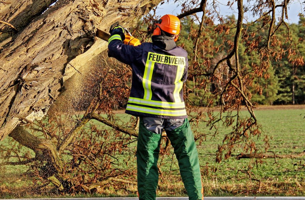 Baumarbeiten Feuerwehr